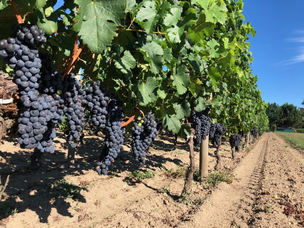 Clos De Bertinat Saint-Sulpice-de-Faleyrens Luaran gambar